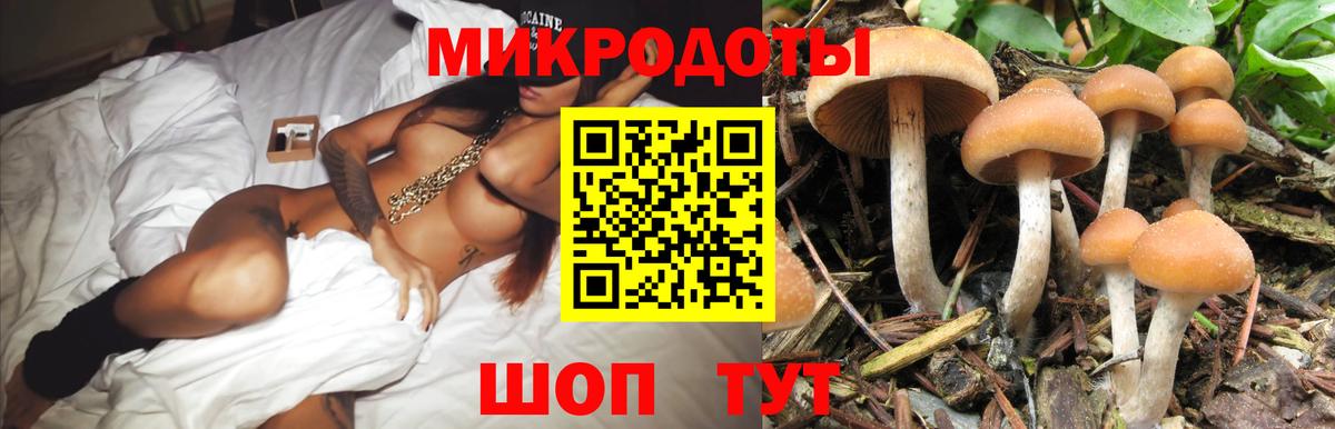 Псилоцибиновые грибы MAGIC MUSHROOMS  Вход с VPN  Гусиноозёрск 